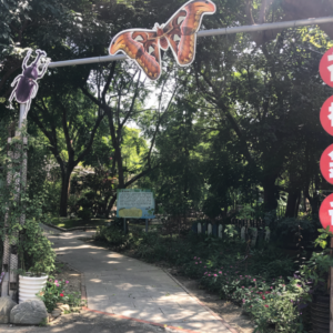 import placeholder for 6338