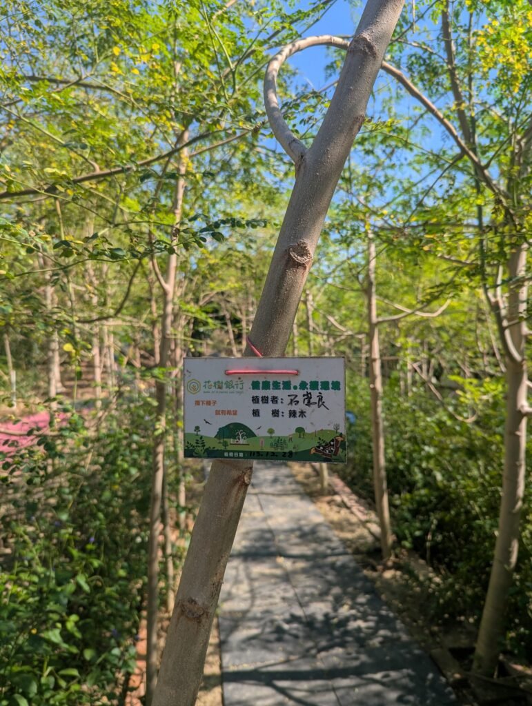 pxl 20251206 034603008